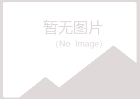 新城子区迎夏采矿有限公司